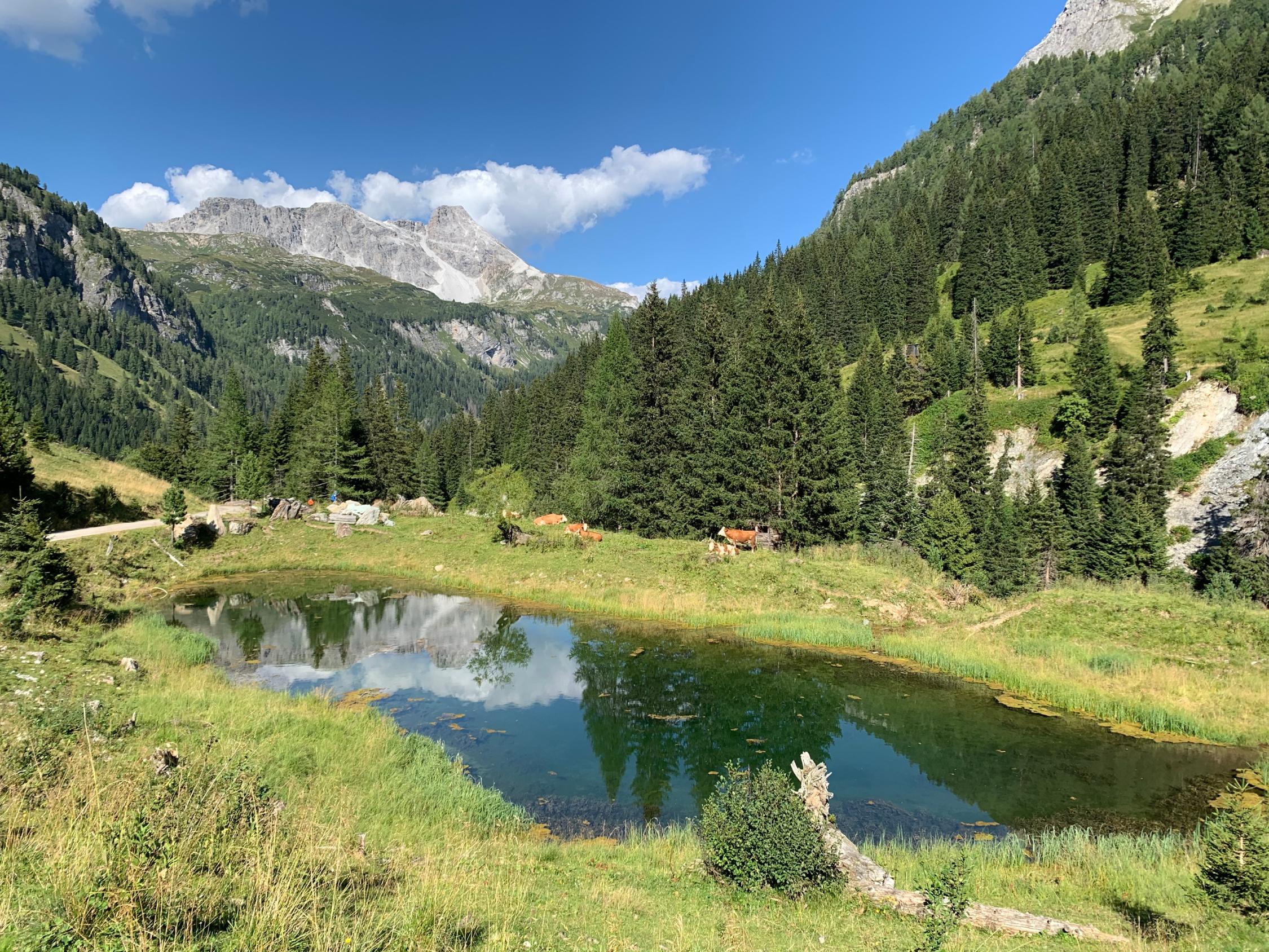 Riedingtal im Salzburger Land